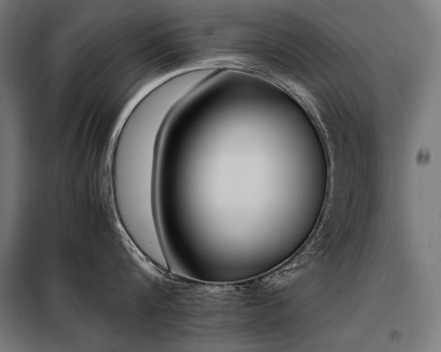 X0000098100816200804041242