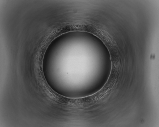 X0000098100817200804041241