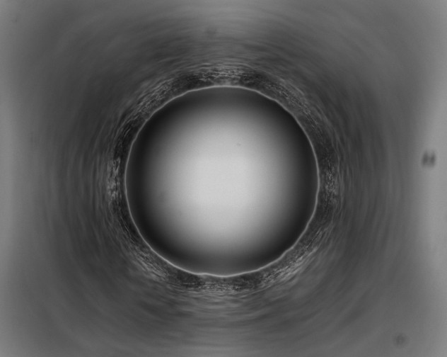X0000098100818200804041241