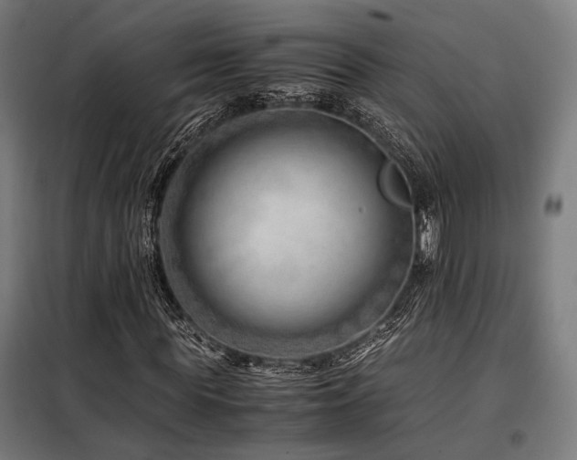 X0000098100819200804041241