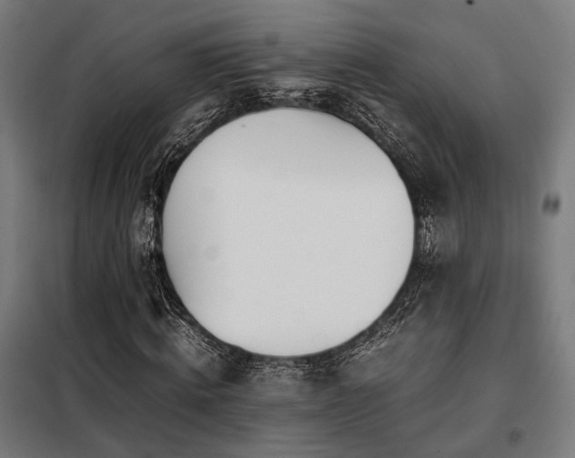 X0000098100820200804041241