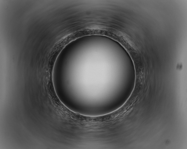 X0000098100821200804041241