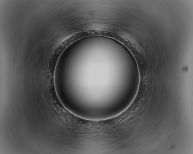 X0000098100822200804041241