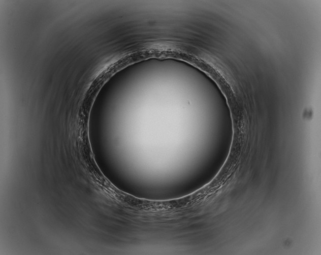 X0000098100823200804041241