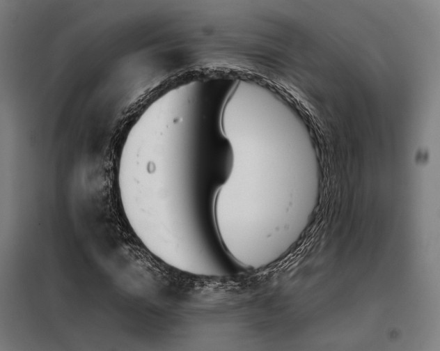 X0000098100824200804041241