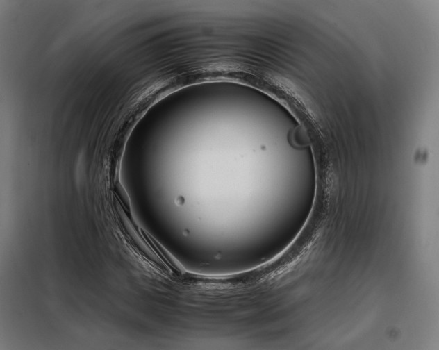 X0000098100825200804041241
