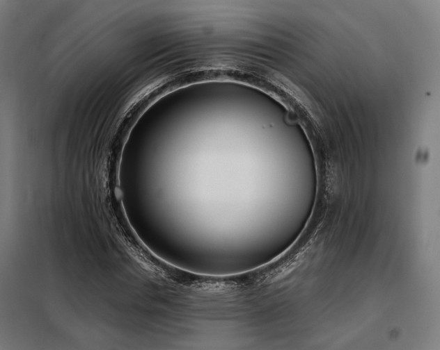 X0000098100826200804041241