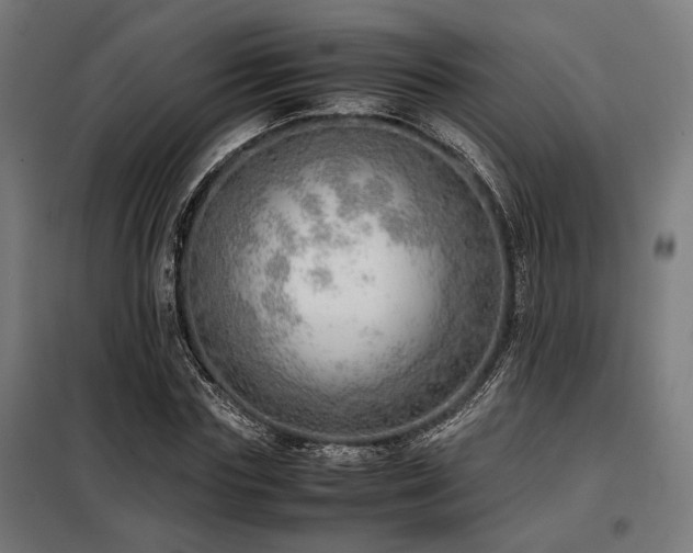 X0000098100827200804041241