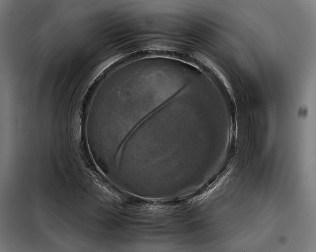 X0000098100829200804041241