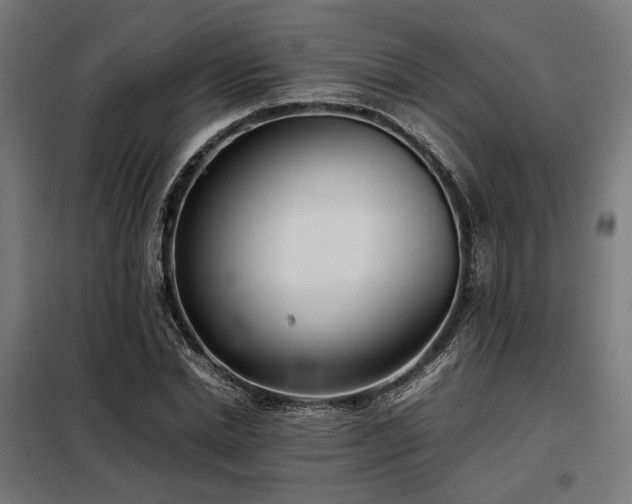 X0000098100830200804041241