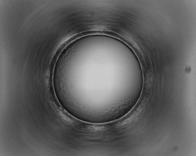 X0000098100831200804041242