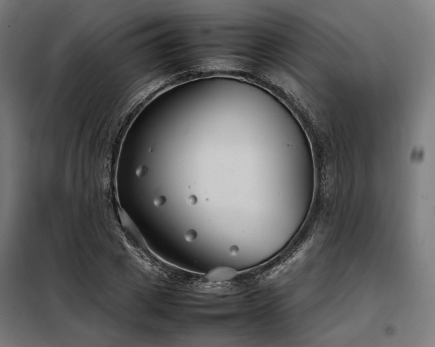 X0000098100833200804041242