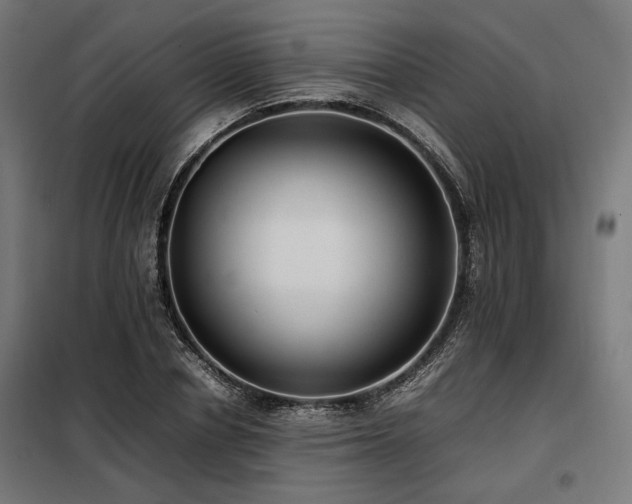 X0000098100834200804041242