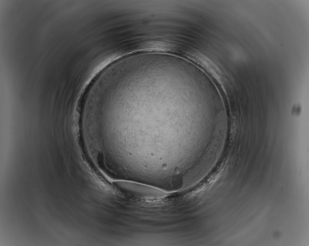 X0000098100835200804041242