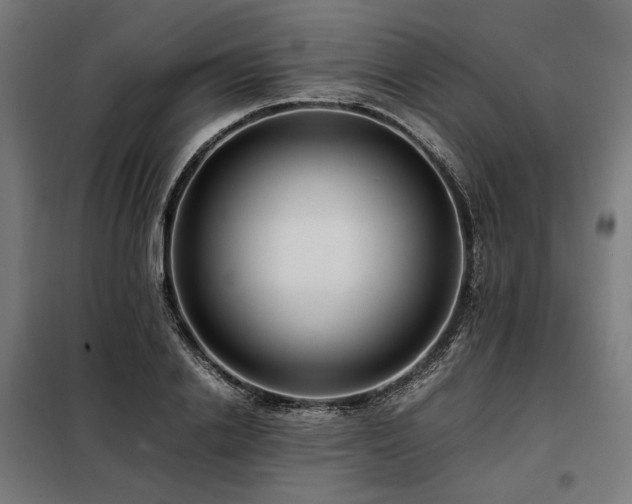 X0000098100838200804041242