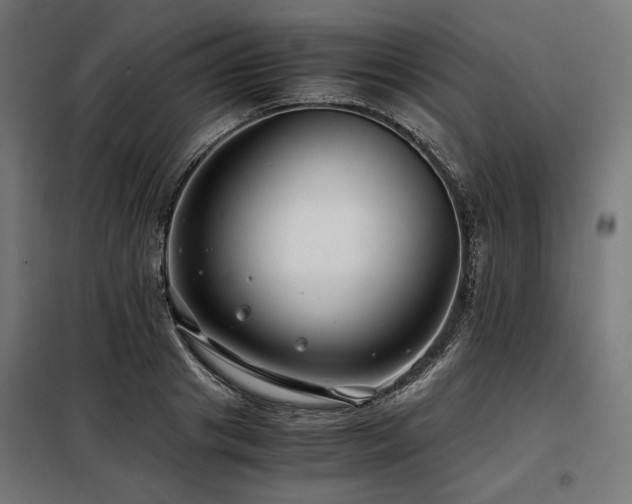 X0000098100841200804041242