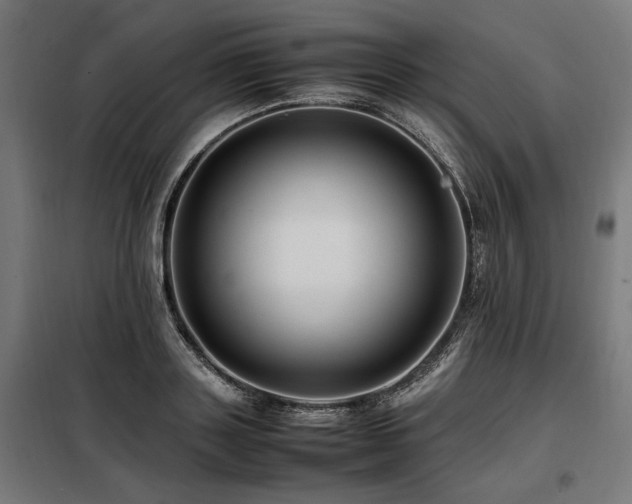 X0000098100843200804041242