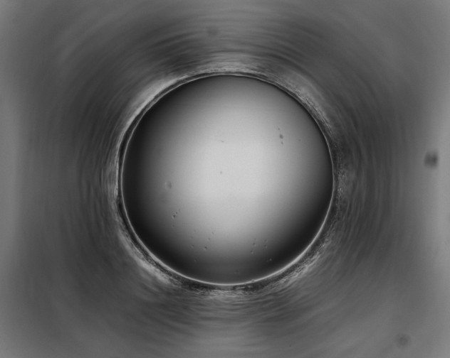 X0000098100844200804041242