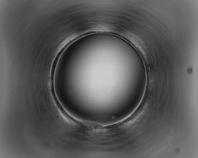 X0000098100845200804041242