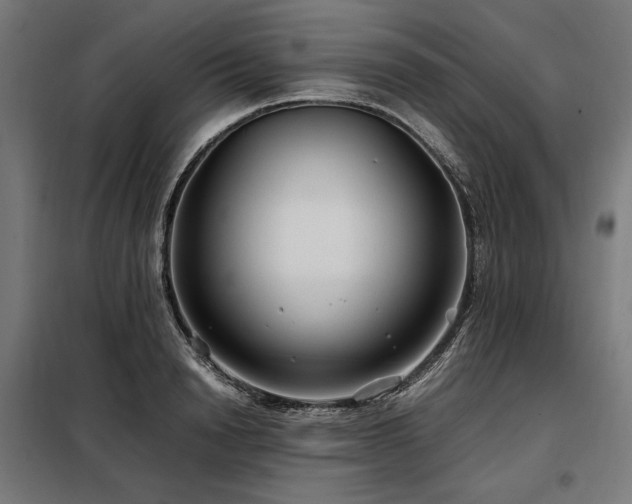 X0000098100846200804041242