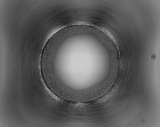 X0000098100847200804041242