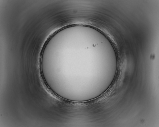X0000098100848200804041242