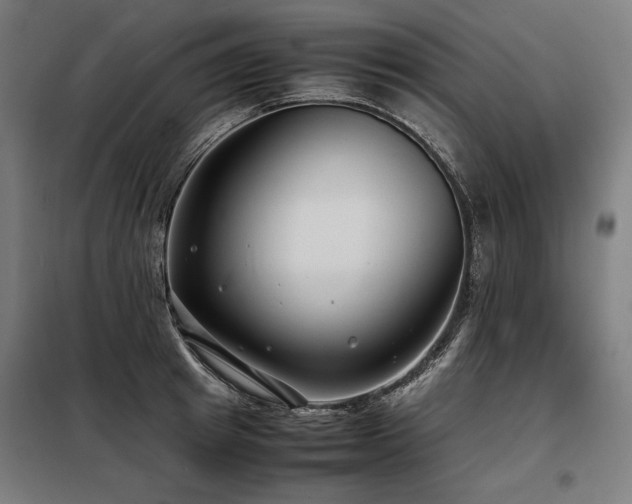 X0000098100849200804041242