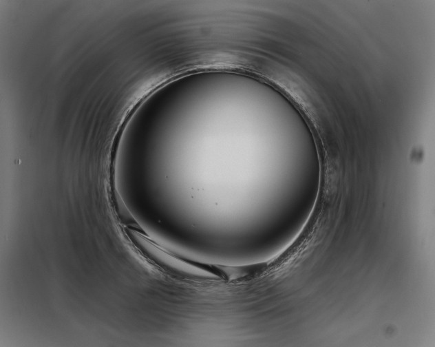 X0000098100850200804041242