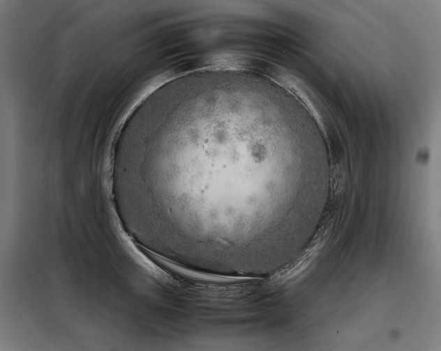 X0000098100851200804041242