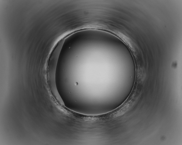 X0000098100854200804041242