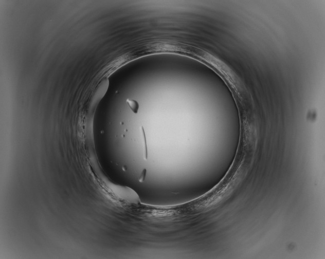 X0000098100857200804041242