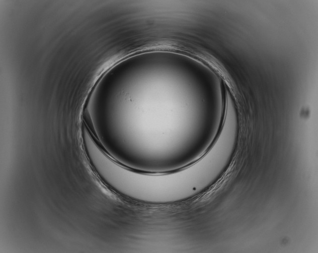 X0000098100858200804041242