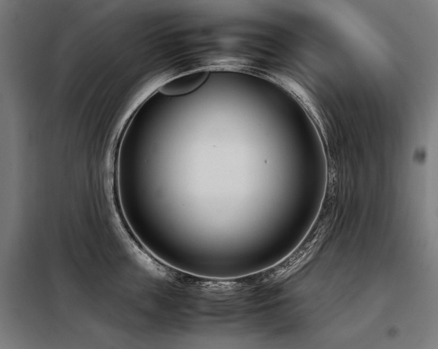 X0000098100859200804041242