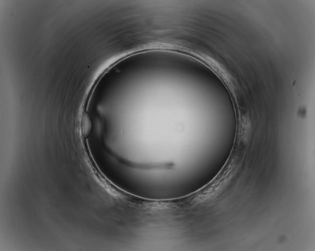 X0000098100862200804041242