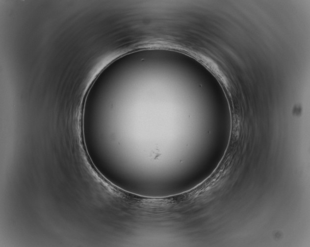 X0000098100863200804041242