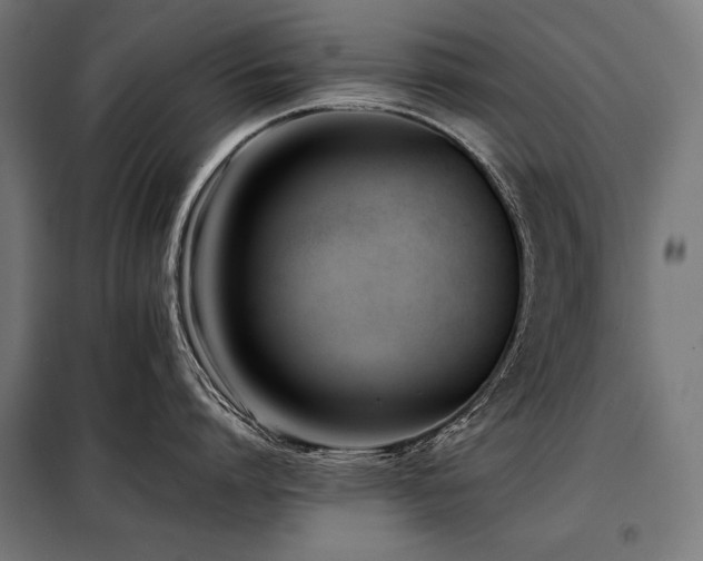 X0000098100864200804041242