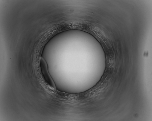 X0000098100865200804041241