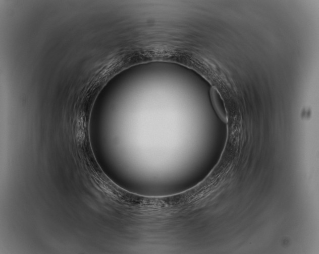 X0000098100866200804041241