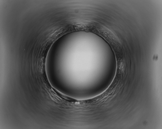 X0000098100868200804041241
