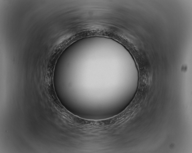 X0000098100869200804041241