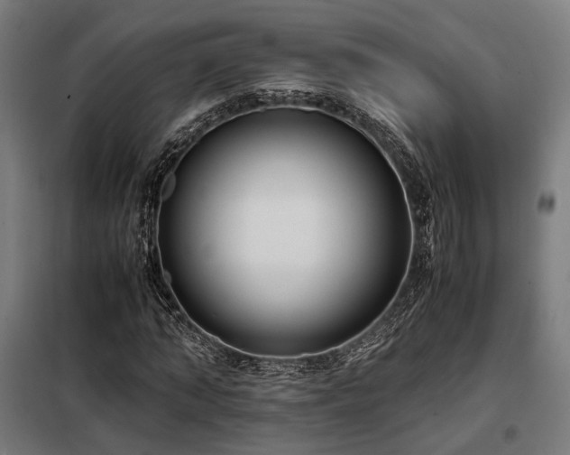 X0000098100870200804041241