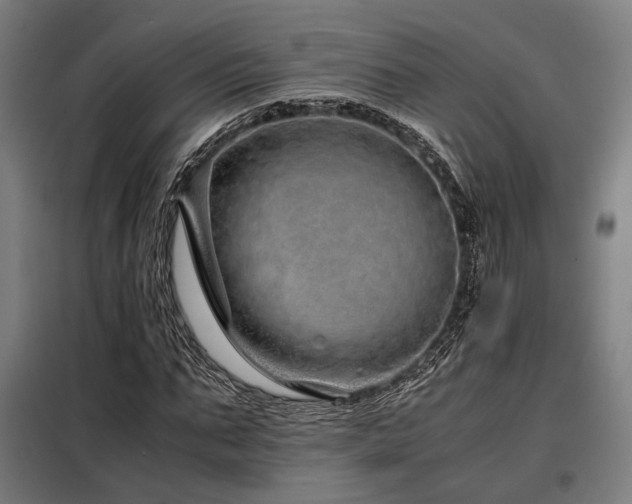 X0000098100871200804041241