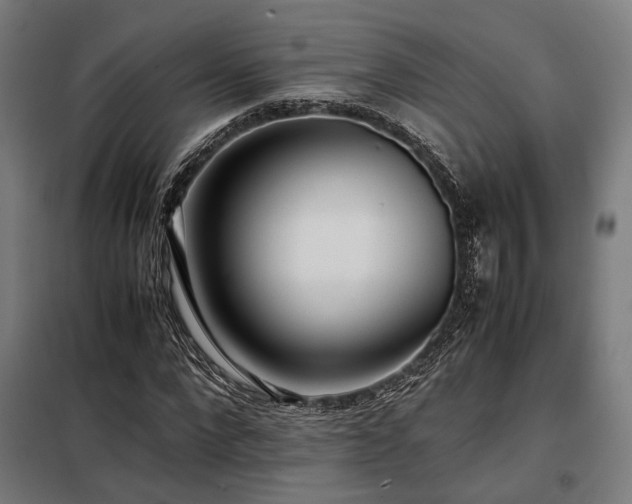 X0000098100872200804041241