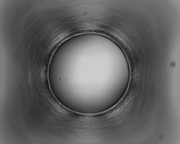X0000098100873200804041241