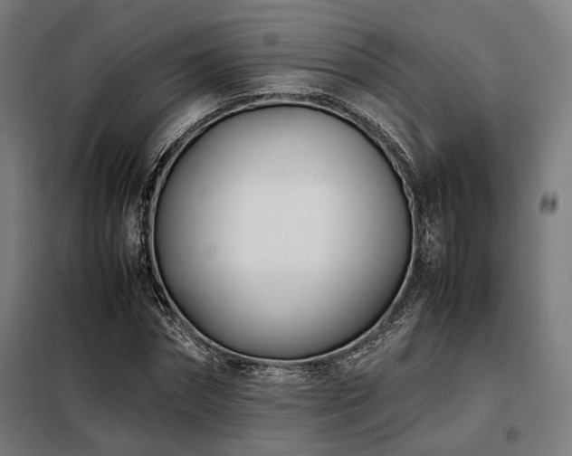 X0000098100874200804041241