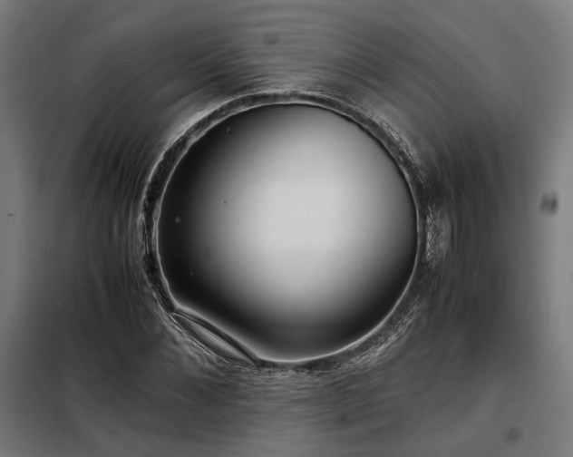 X0000098100876200804041241