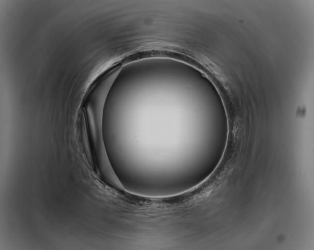 X0000098100877200804041241