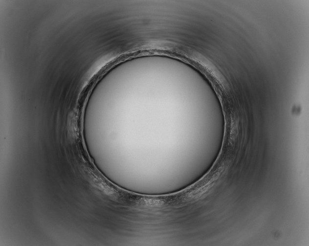 X0000098100878200804041241