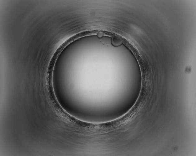 X0000098100879200804041241
