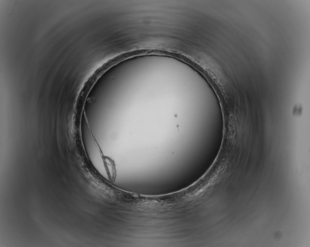 X0000098100880200804041241
